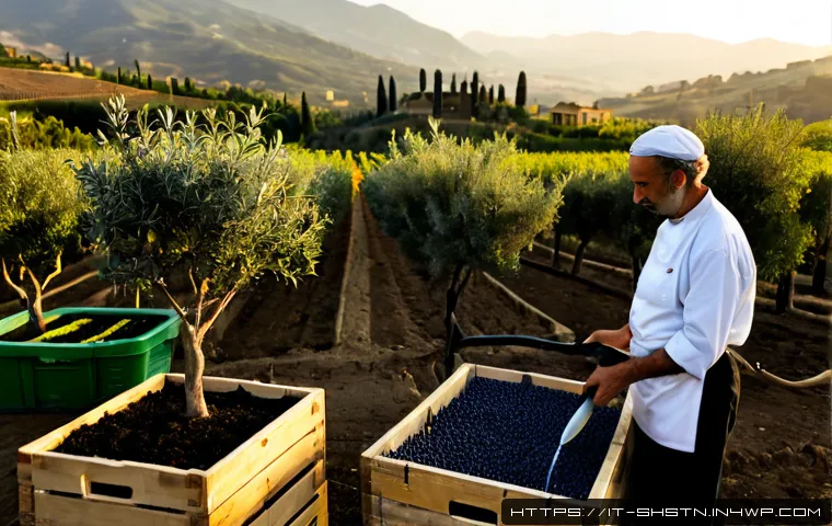 Home 13 지속가능한 식품 시스템의 중요성 - Photorealistic Italian farm-to-table scene at sunrise, an older Italian farmer and a young chef harv...